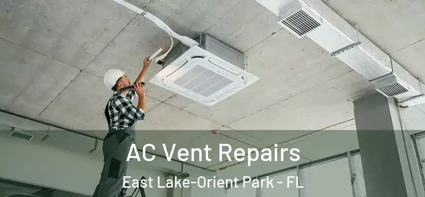 AC Vent Repairs East Lake-Orient Park - FL