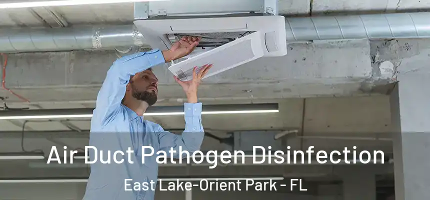 Air Duct Pathogen Disinfection East Lake-Orient Park - FL