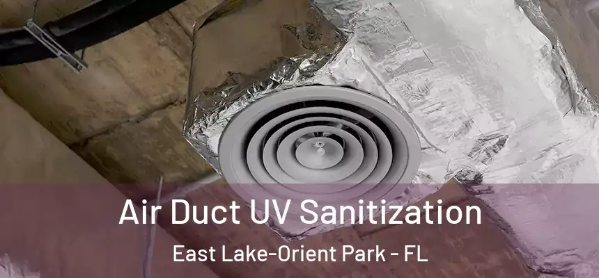Air Duct UV Sanitization East Lake-Orient Park - FL
