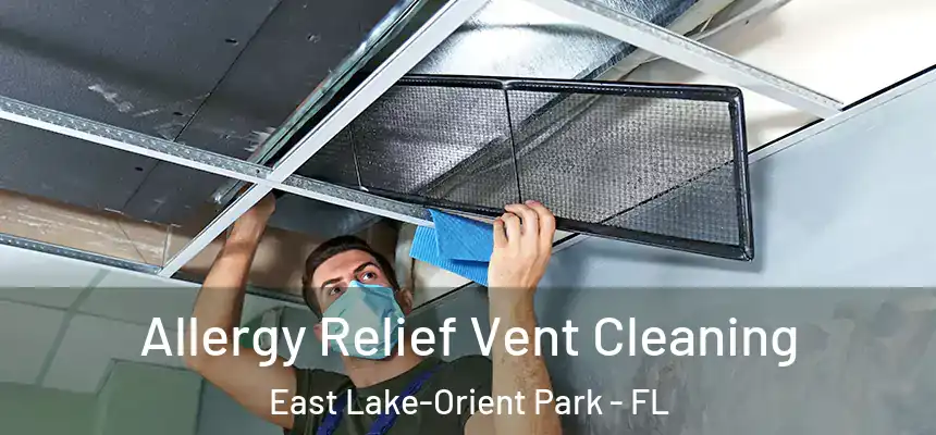 Allergy Relief Vent Cleaning East Lake-Orient Park - FL