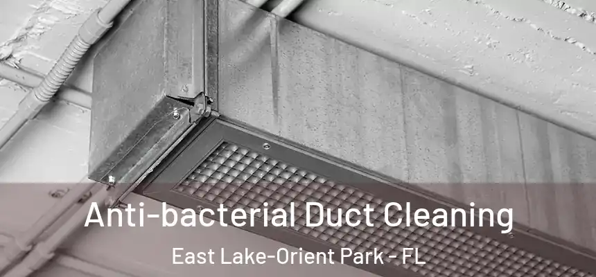 Anti-bacterial Duct Cleaning East Lake-Orient Park - FL