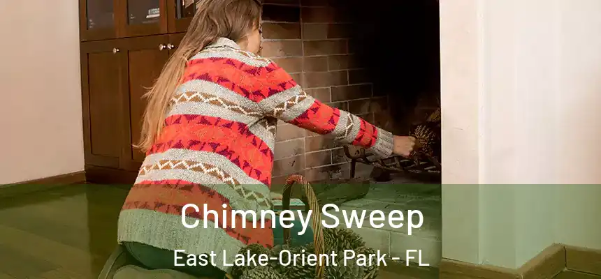 Chimney Sweep East Lake-Orient Park - FL