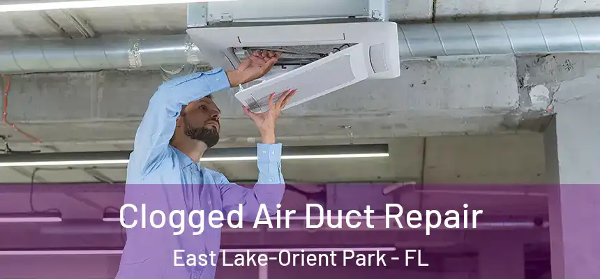 Clogged Air Duct Repair East Lake-Orient Park - FL