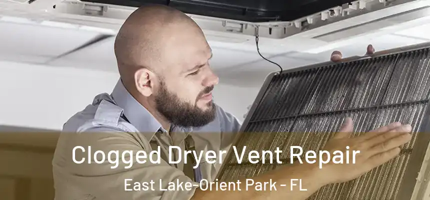Clogged Dryer Vent Repair East Lake-Orient Park - FL