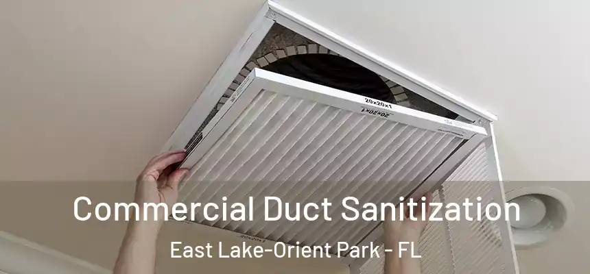Commercial Duct Sanitization East Lake-Orient Park - FL