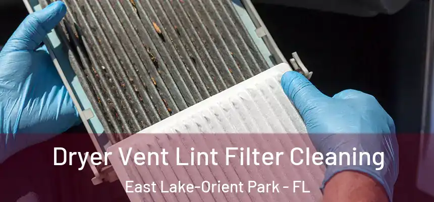 Dryer Vent Lint Filter Cleaning East Lake-Orient Park - FL