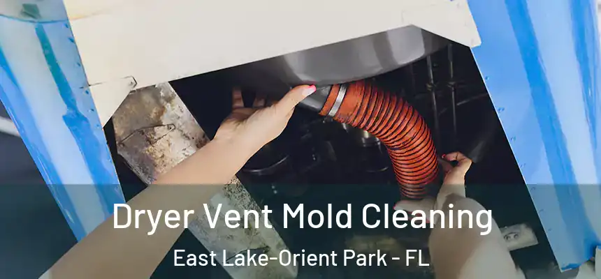 Dryer Vent Mold Cleaning East Lake-Orient Park - FL