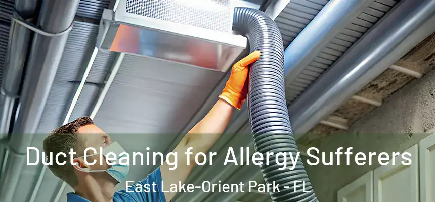 Duct Cleaning for Allergy Sufferers East Lake-Orient Park - FL