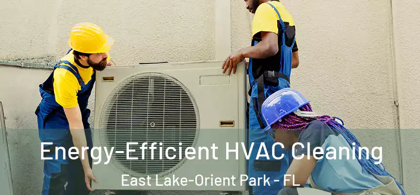 Energy-Efficient HVAC Cleaning East Lake-Orient Park - FL