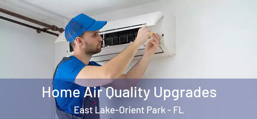 Home Air Quality Upgrades East Lake-Orient Park - FL