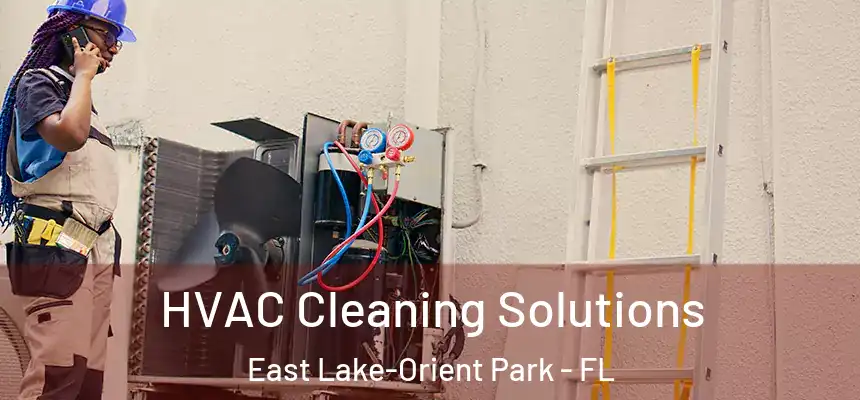  HVAC Cleaning Solutions East Lake-Orient Park - FL