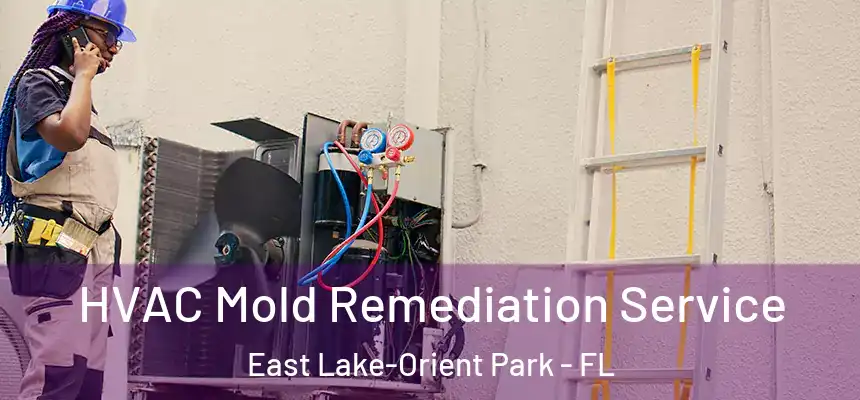 HVAC Mold Remediation Service East Lake-Orient Park - FL