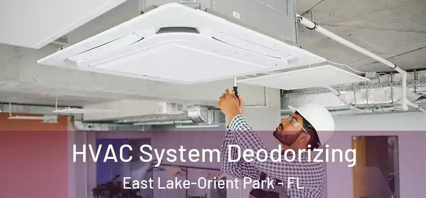 HVAC System Deodorizing East Lake-Orient Park - FL