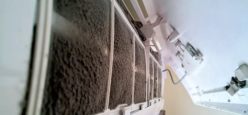 Preventive Air Duct Bacteria Removal in East Lake-Orient Park