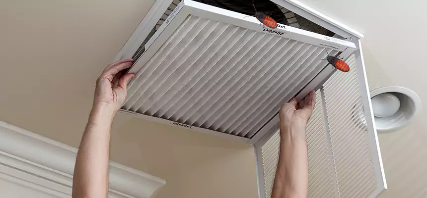 Preventive Cockroach-Proofing for Ducts in East Lake-Orient Park