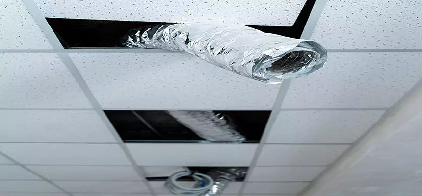 Affordable HVAC Sanitizing After Pest Removal in East Lake-Orient Park