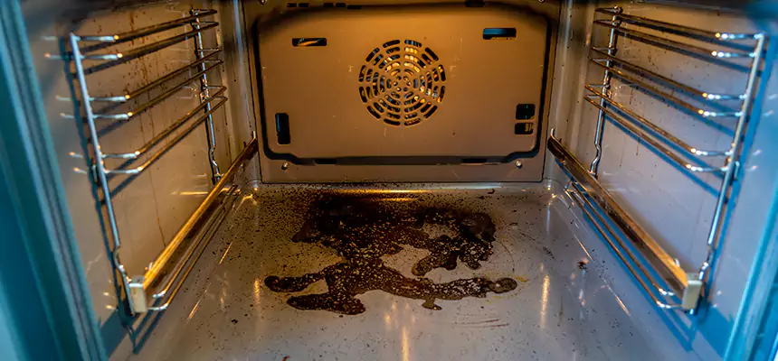 Our Air Purifier Installation Services in East Lake-Orient Park, FL