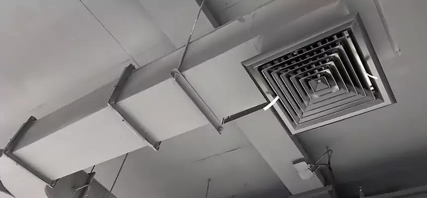 Restorative Allergy Relief Vent Cleaning – Coil, Blower & Housing Detail in East Lake-Orient Park