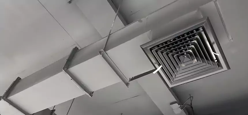 Our Rodent Droppings In Vents Services in East Lake-Orient Park, FL