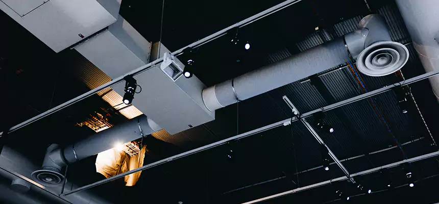 Our Seasonal Allergy Air Duct Cleaning Services in East Lake-Orient Park, FL