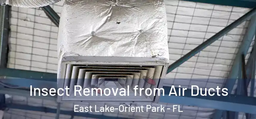 Insect Removal from Air Ducts East Lake-Orient Park - FL