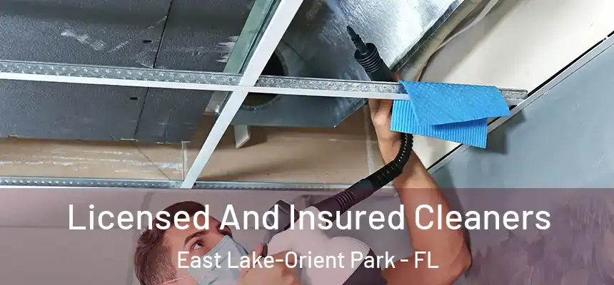 Licensed And Insured Cleaners East Lake-Orient Park - FL