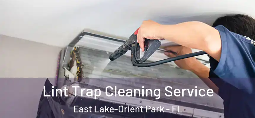 Lint Trap Cleaning Service East Lake-Orient Park - FL