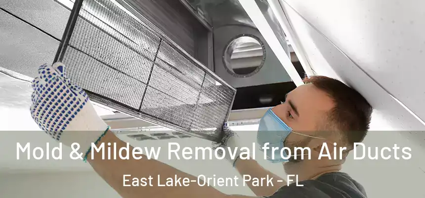 Mold & Mildew Removal from Air Ducts East Lake-Orient Park - FL
