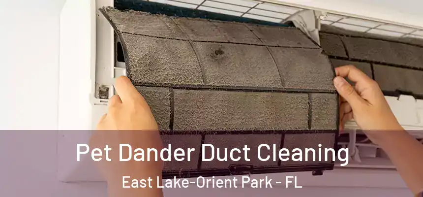  Pet Dander Duct Cleaning East Lake-Orient Park - FL
