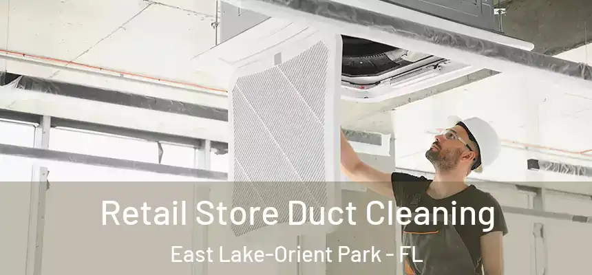 Retail Store Duct Cleaning East Lake-Orient Park - FL