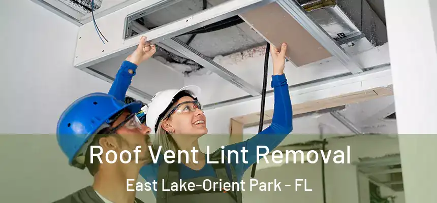Roof Vent Lint Removal East Lake-Orient Park - FL