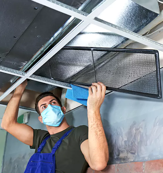 About Air Duct Bacteria Removal in East Lake-Orient Park