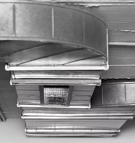 Professional Air Duct Pet Hair Removal in East Lake-Orient Park, FL