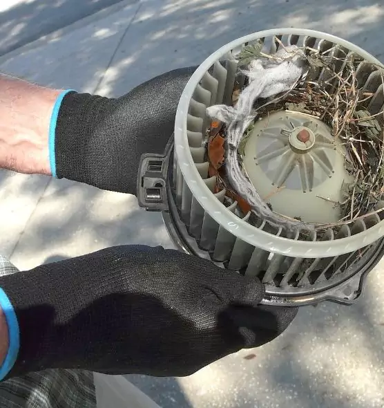 About Air Duct Rat Removal in East Lake-Orient Park, FL