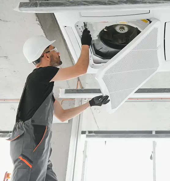 About Air Duct Rodent Removal in East Lake-Orient Park, FL