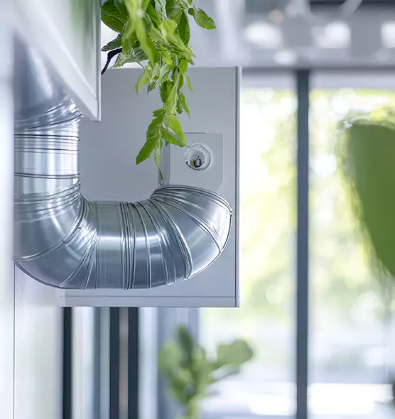 Professional Eco-Safe Dryer Vent Cleaning in East Lake-Orient Park, FL