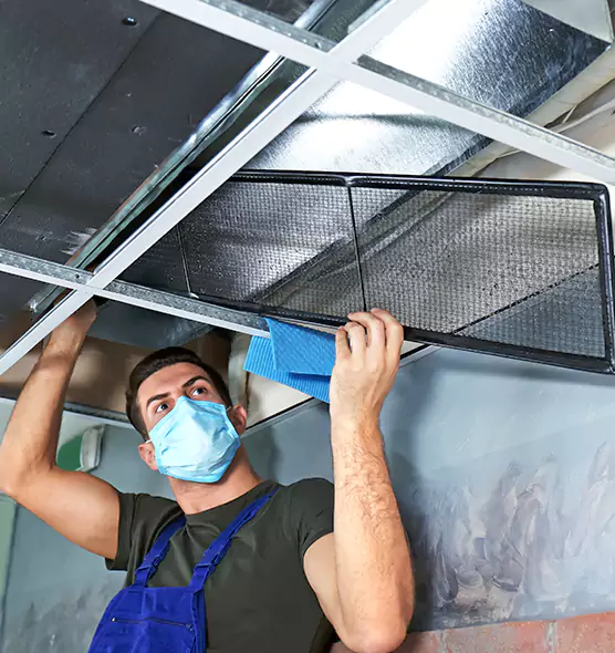 Professional Home Ventilation Cleaning in East Lake-Orient Park, FL