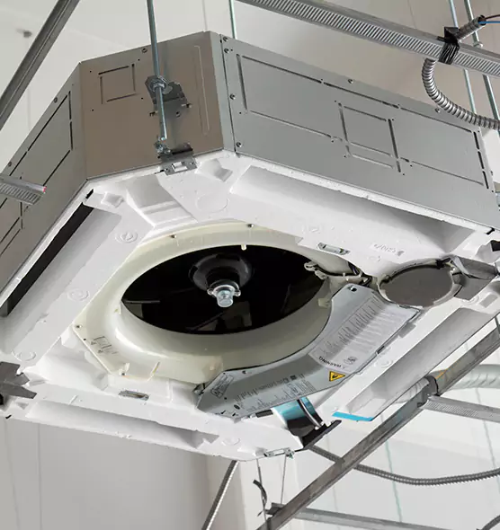 Professional Roof Vent Lint Removal East Lake-Orient Park, FL