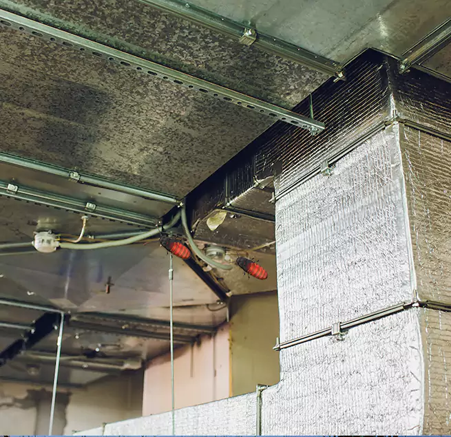 Why Homeowners & Businesses Trust Us in East Lake-Orient Park, FL?