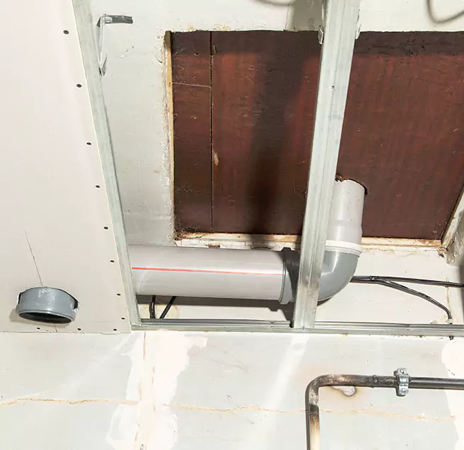 Why Homeowners & Businesses Trust Us in East Lake-Orient Park, FL?