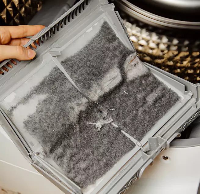 Why Homeowners & Businesses Trust Us East Lake-Orient Park, FL?