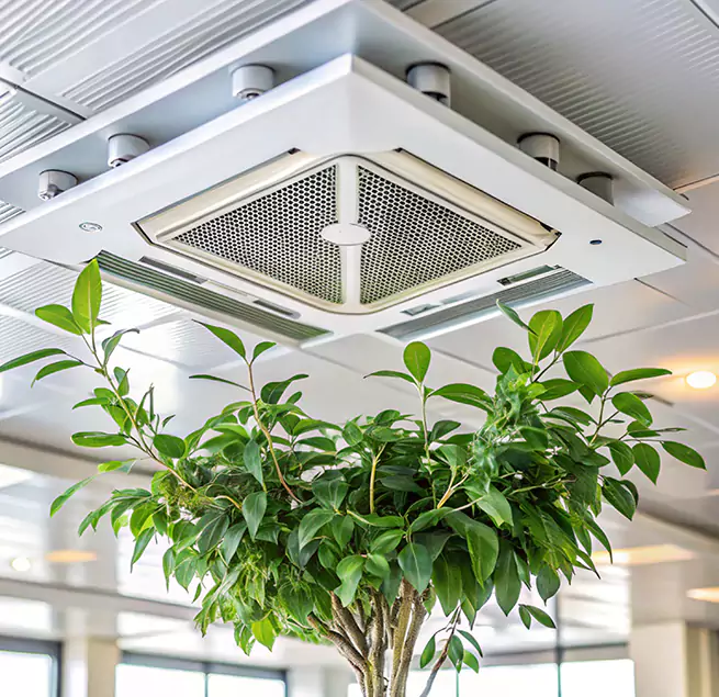 Why Homeowners & Businesses Trust Us in East Lake-Orient Park, FL