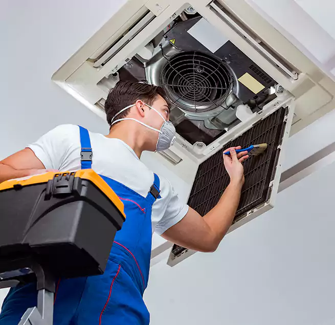 Why Homeowners & Businesses Trust Us in East Lake-Orient Park, FL?