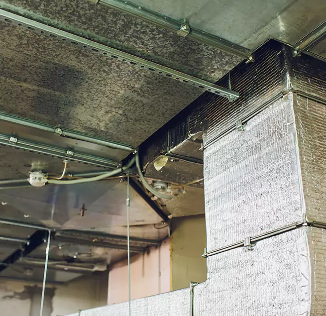 Why Homeowners & Businesses Trust Us in East Lake-Orient Park, FL?