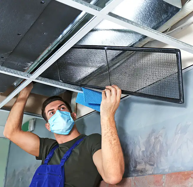 Why Homeowners & Businesses Trust Us in East Lake-Orient Park, FL?