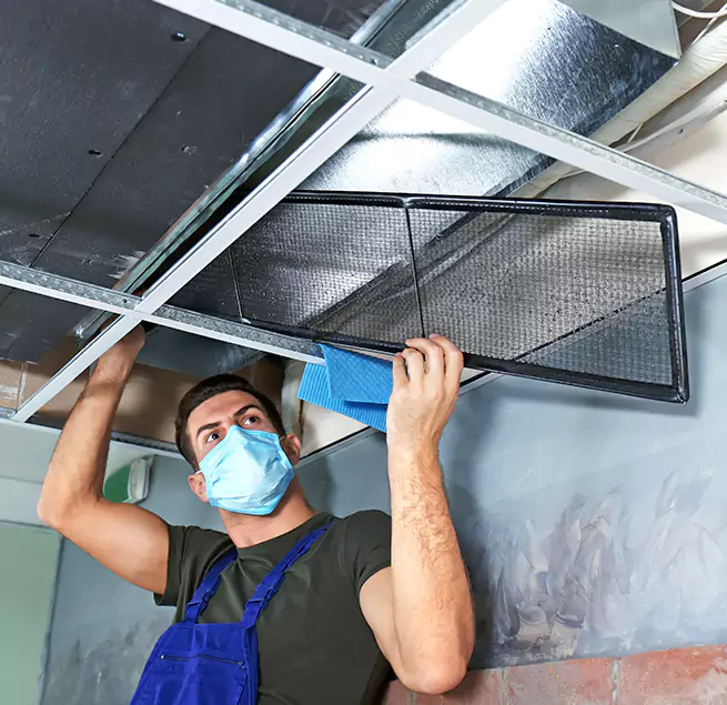 Why Homeowners Businesses Trust Us in East Lake-Orient Park, FL?