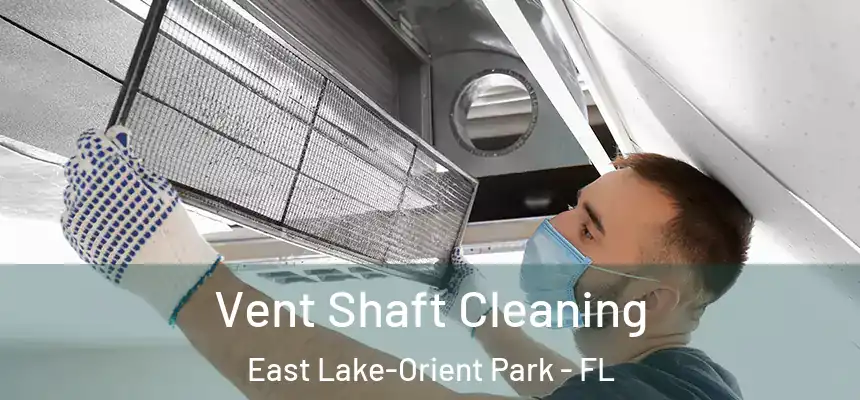  Vent Shaft Cleaning East Lake-Orient Park - FL
