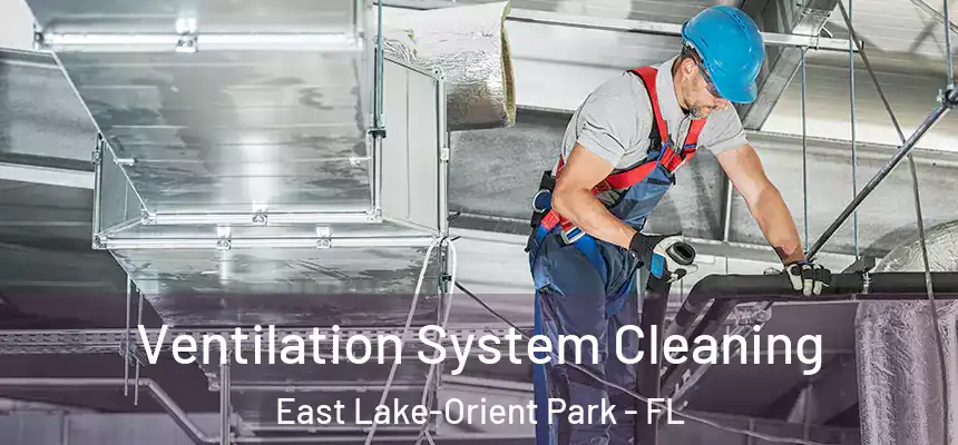 Ventilation System Cleaning East Lake-Orient Park - FL